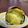 クックH86AFM☆'s cooksnap of when they made オーブンで甘い焼き芋.