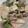 クックHDP0M2☆'s cooksnap of when they made カブとサーモンの豆乳スープ.