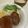 papikun's cooksnap of when they made ふわとろ卵とハンバーグ丼♪.