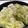 ☆ayami☆26's cooksnap of when they made 簡単♡豚バラ白菜のミルフィーユ♡.