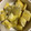 かんじきんぐ's cooksnap of when they made 簡単！さつまいものミルク煮.
