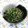 mmameco's cooksnap of when they made 大根葉しょうがちりめん炒め.
