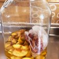 こちまま18's cooksnap of when they made かりんシロップ.