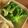 クック49L4Ho☆'s cooksnap of when they made レンジでチン★そのままブロッコリー盛り.