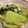 茶トラキッズ's cooksnap of when they made シャキシャキ☆青梗菜の塩にんにく炒め.