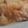 あゆたっくん's cooksnap of when they made 鰤大根おろし煮.