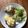 Ruriluru's cooksnap of when they made きゅうりとカニカマドレッシングonトマト.