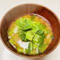 azbjbn's cooksnap of when they made 母の味♪キャベツの味噌汁.