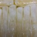 クックZ6QVTI☆'s cooksnap of when they made 柚子巻き甘酢大根.