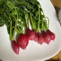 ブラック＊スワン's cooksnap of when they made ラディッシュde簡単 ソテー☆.