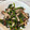 チェリチョコ's cooksnap of when they made ほうれん草としめじのバターソテー.