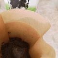 くむちん's cooksnap of when they made レギュラーコーヒーでお手軽？カフェオレ♪.