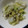 なおぴんこ's cooksnap of when they made 簡単！さっぱり美味い☆白菜と塩昆布浅漬け.