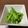 クックH86AFM☆'s cooksnap of when they made 基本～菜の花の辛子和え～春の箸休め.