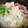 papikun's cooksnap of when they made ☆おかんのすきやき…風.