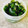 さくらん餅's cooksnap of when they made 生わかめの季節です！やみつきわかめ♪.