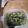 クックDFZMB0☆'s cooksnap of when they made 超簡単!ナスとピーマンのレンチン煮浸し風.