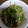 クック00Q0QZ☆'s cooksnap of when they made 三つ葉の卵とじ.