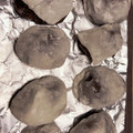 マリアの料理記録日誌's cooksnap of when they made 簡単！（＊＾▽＾＊）いちご大福キウイ大福.