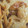 はみころ's cooksnap of when they made 簡単！めちゃうま！鶏ささみとれんこん炒め.