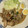yama_miu's cooksnap of when they made 豚こまとピーマンの焼肉のたれマヨ炒め.