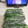 J_Ibis's cooksnap of when they made かつお菜の冷凍保存.