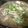 papikun's cooksnap of when they made ✿おうちで山形のいも煮✿.