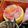 ∞くぅ∞'s cooksnap of when they made ゆず香る紅白なます.