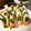 月✳Iris's cooksnap of when they made お正月に！超簡単！ちくわ門松.