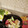 ダッフィーニーうに's cooksnap of when they made すき焼き.
