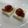 ネギがお好き's cooksnap of when they made 梅と塩辛で☆クリームチーズの簡単おつまみ.