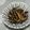 QPはにー's cooksnap of when they made 味しみしみ〜♪ふきの煮物.