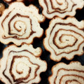 canadawhistler's cooksnap of when they made 今年ははんぺんなしで本格伊達巻きに挑戦！.