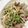 ♡mio1216♡'s cooksnap of when they made 牛肉とパクチーのナンプラー炒め.