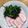 クック54048F☆'s cooksnap of when they made 超簡単♡かまぼことほうれん草のソテー.