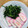 クック54048F☆'s cooksnap of when they made 超簡単♡かまぼことほうれん草のソテー.