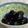 umemodoki's cooksnap of when they made 花豆を美味しく煮るには・・・.