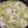 クック2H9MD0☆'s cooksnap of when they made 無限豚キャベしゃぶ.