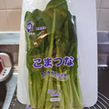 スタイリッシュママ's cooksnap of when they made 小松菜の冷蔵保存.
