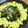 ちーまぐ's cooksnap of when they made 美味しい～♪ほうれん草と豚肉と卵の炒め物.