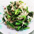 かわゆう1211's cooksnap of when they made すぐ出来る♪ほうれん草ともやしのサラダ.