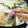クックM96XDX☆'s cooksnap of when they made ぶりが甘い ぶりしゃぶ.