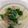 madam☆usa's cooksnap of when they made エビとチンゲン菜のクリーム煮.
