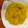 ゆっちゃんだい's cooksnap of when they made 栗きんとん【おせち】.