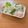 Etsu☆ko's cooksnap of when they made 魚を捌こう！赤ハタの刺身・薄造り編.