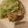 ｼﾏｼﾞｰ's cooksnap of when they made ごま油香る！ネギ塩ダレ.