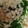 kkll0000's cooksnap of when they made 揚げないなんちゃって揚げ出し豆腐.