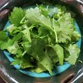 milestone★'s cooksnap of when they made ビルズ風♪パクチーとアボカドのサラダ☆.