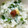 けいちゃんごはん's cooksnap of when they made 簡単おいしい♪梅と大根のお粥♪.