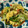 クックWZ3WQY☆'s cooksnap of when they made 野菜と卵の甘辛炒め.
